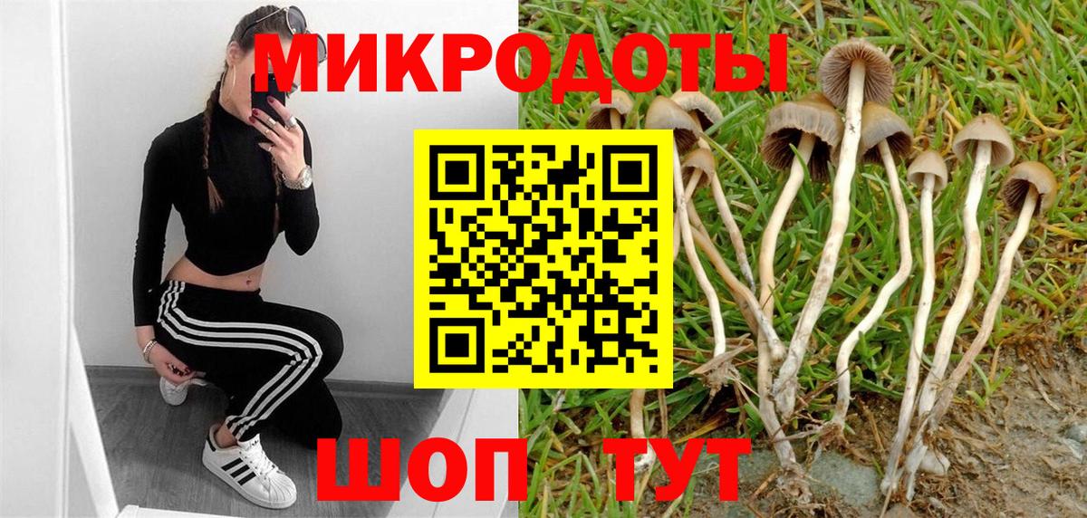 Псилоцибиновые грибы GOLDEN TEACHER Звенигород