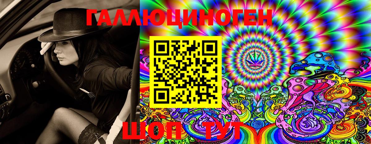 Псилоцибиновые грибы Psilocybine cubensis  Вход с VPN  Звенигород 